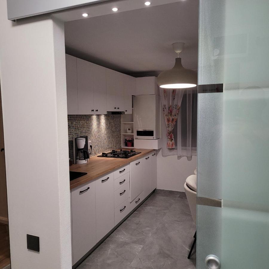 Hermann Apartment Cluj-Napoca Esterno foto