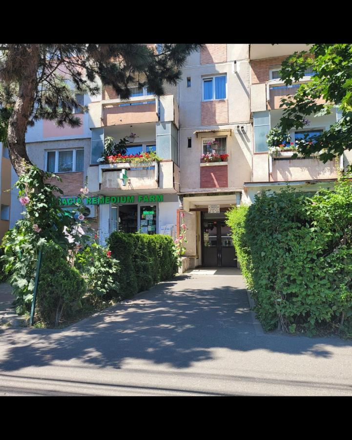 Hermann Apartment Cluj-Napoca Esterno foto
